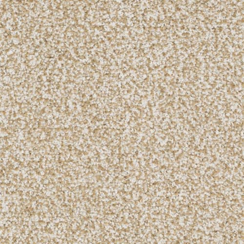 beige and white carpet